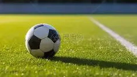 詹姆斯：我能适应各类环境，不知外界何来质疑之声