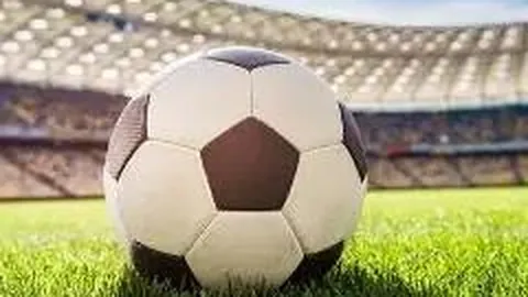 布克奥运之旅：多才多艺，尽显非凡魅力